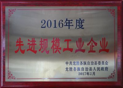先進規模工業企業